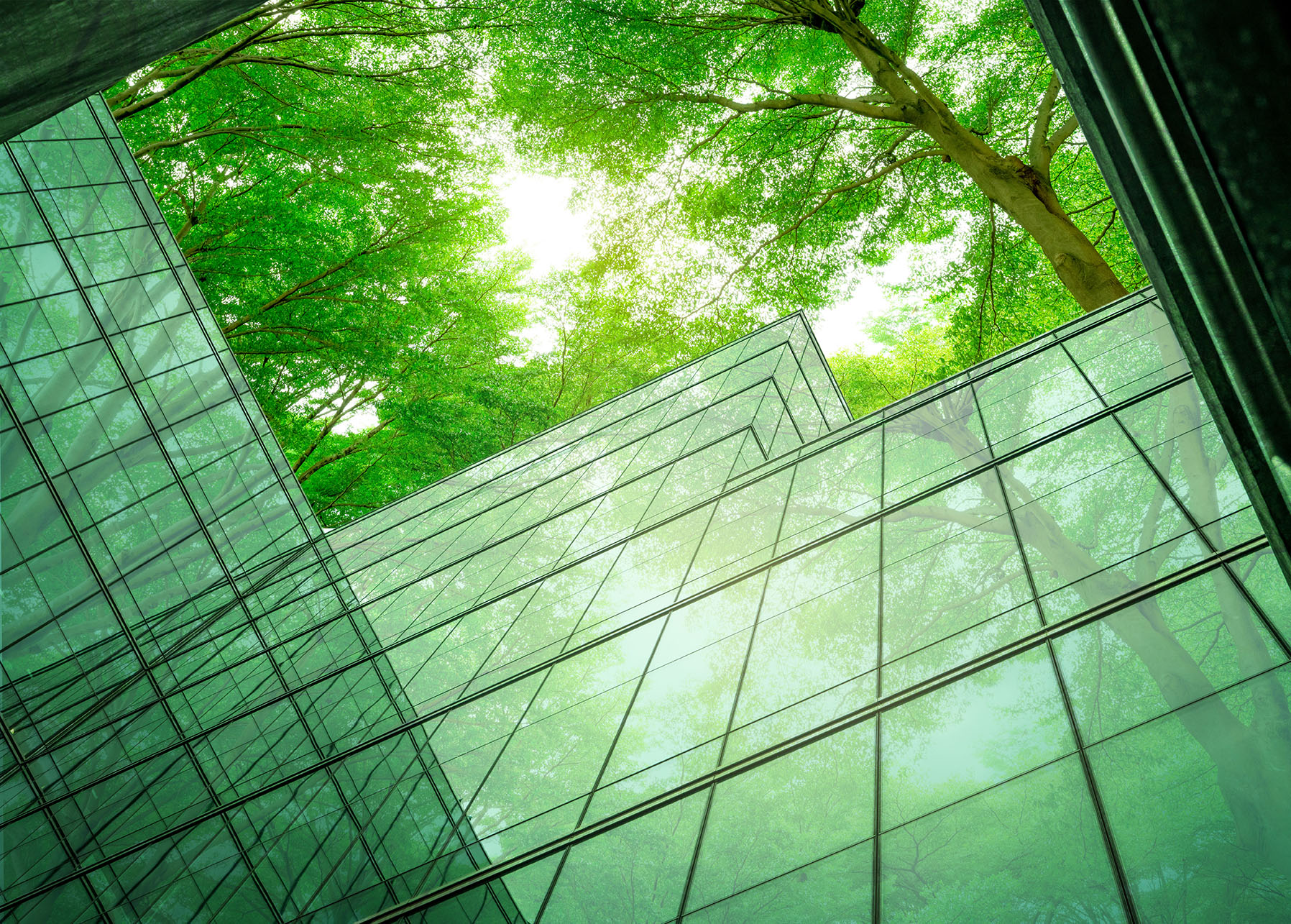 Eco-friendly building in the modern city. Sustainable glass office building with tree for reducing heat and carbon dioxide. Office building with green environment. Corporate building reduce CO2.